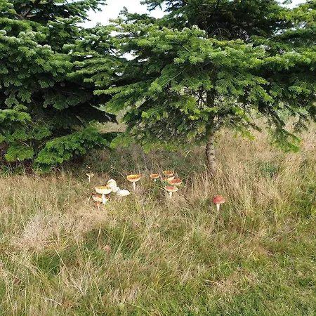 6 Person In Vaeggerlose-by Traum 펜션 *