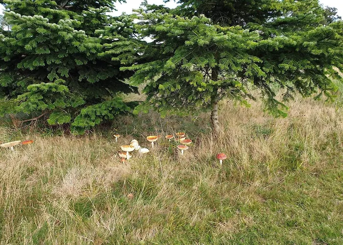 6 Person In Vaeggerlose-by Traum Holiday home *